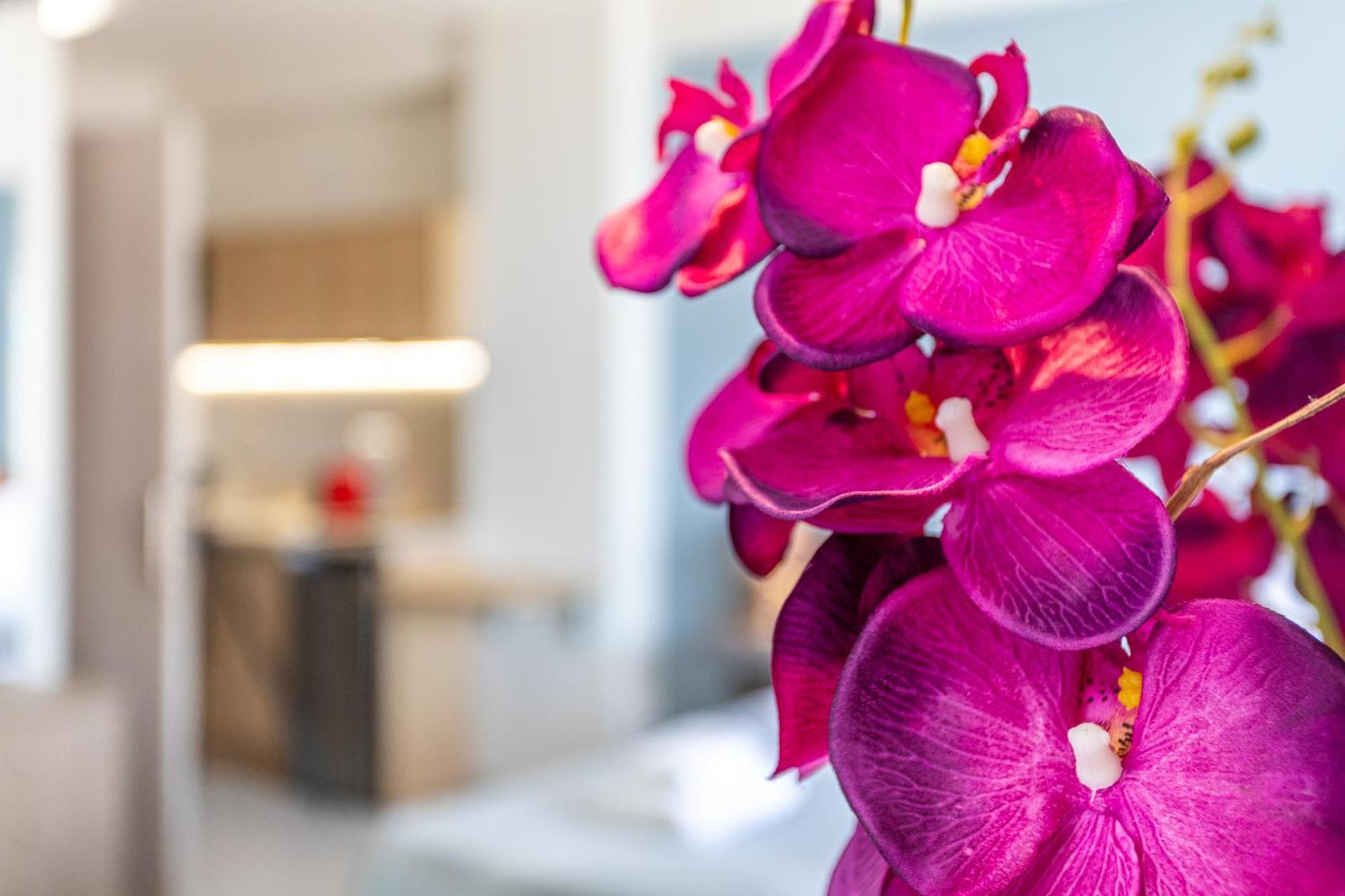 Aparthotel Marina Kardamyli Exteriér fotografie